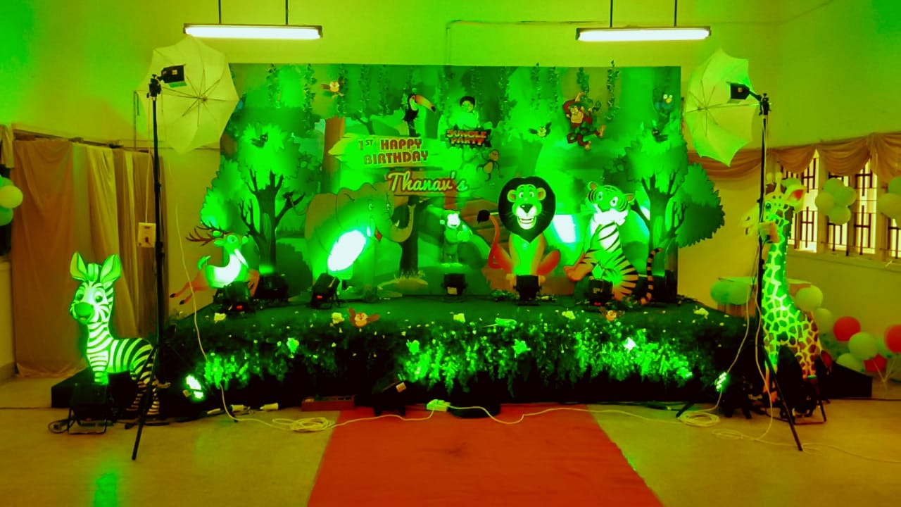 Princess Castle Backdrop